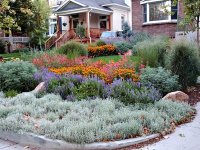 Freshening up the yard